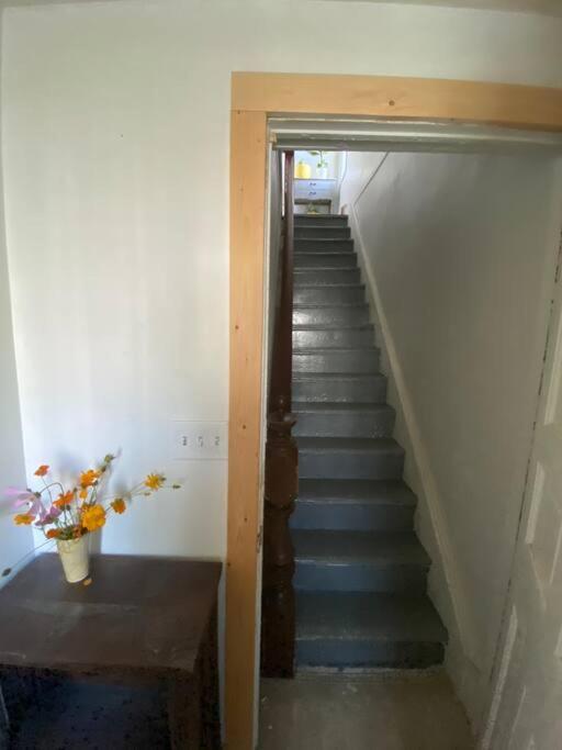 Studio Apt W Garden キングストン エクステリア 写真