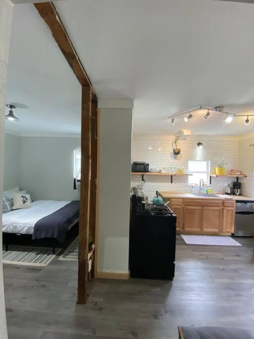 Studio Apt W Garden キングストン エクステリア 写真