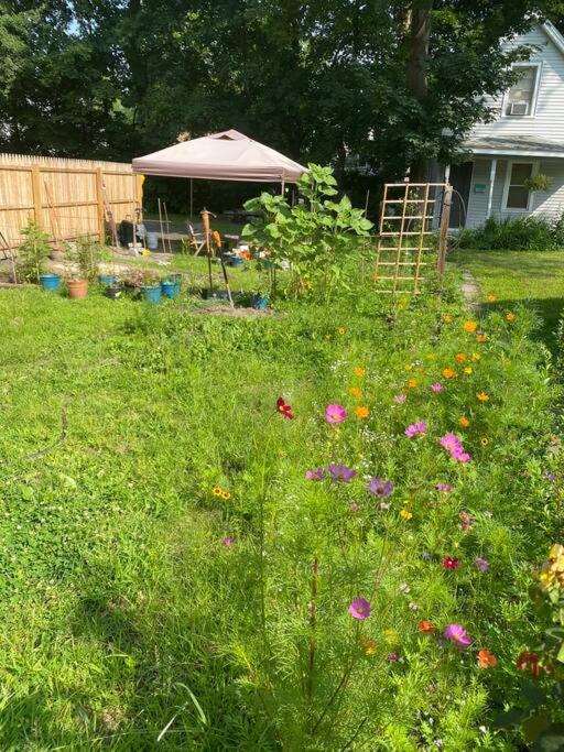 Studio Apt W Garden キングストン エクステリア 写真